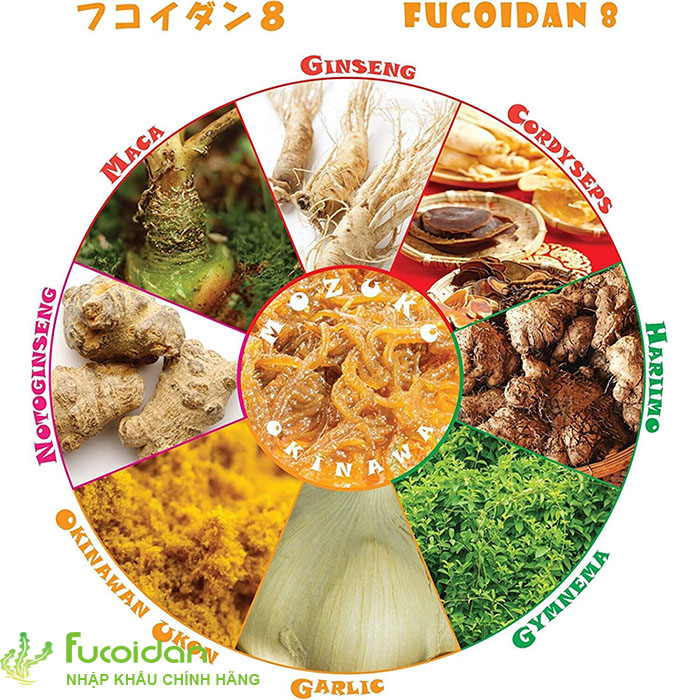 Viên uống hỗ trợ và ngăn ngừa ung thư Fucoidan 8 Nhật Bản, Hộp 1000 viên