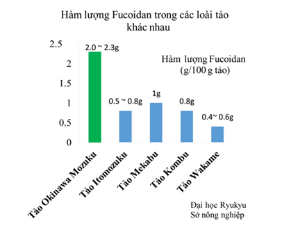 Fucoidan Umi No Shizuku Nhật Bản, Hộp 120 viên