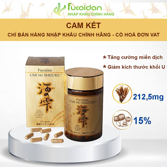 Fucoidan Umi No Shizuku Nhật Bản, Hộp 120 viên